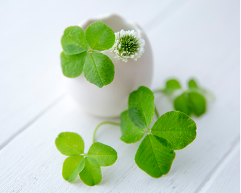 神鏡カードリーディング